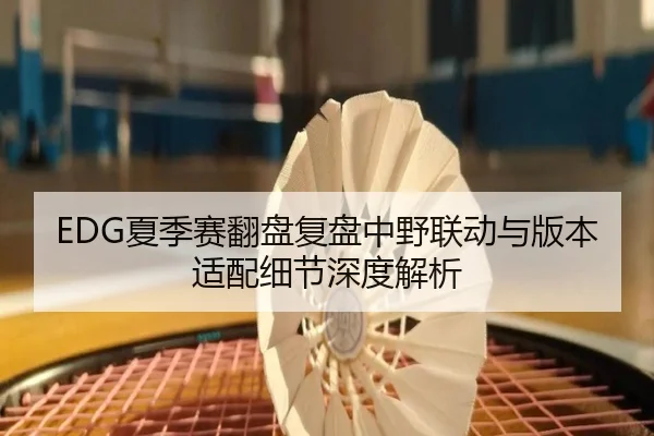 EDG夏季赛翻盘复盘中野联动与版本适配细节深度解析